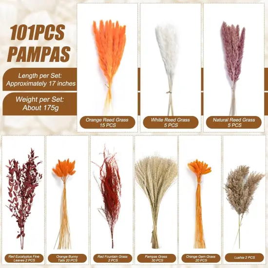 101PCS Dried Pampas Grass Mix Bouquet Contains Bunny Tails Dried Flowers and Reed Grass {5}
