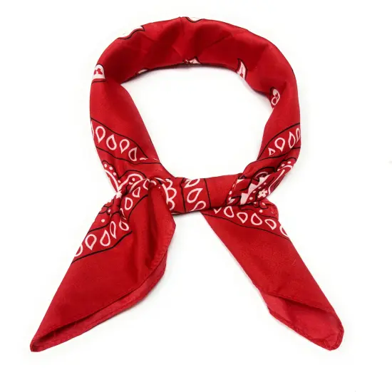 Set of 9 Paisley Women's Neck Scarf Soft, Shiny 27"x27" Chiffon Square {2}