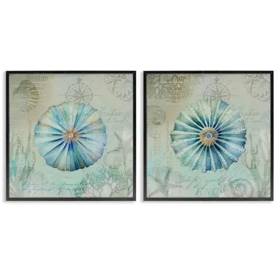 Stupell Industries Vintage Blue Sea Urchins 2pc Framed Giclee Wall Art Set Design by Andrea Haase {1}