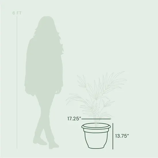 Bloem Ariana Pot Planter: 16" - Misty Blue - Durable Resin Pot, Indoor and Outdoor Use, Gardening, Self Watering Disk Included, 6 Gallon Capacity {5}