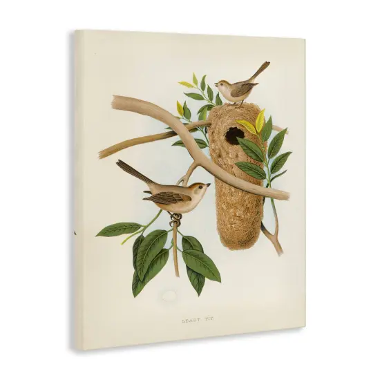 Stupell Industries Vintage Bird House Study Canvas Wall Art Design by Tina Higgins Designs, Inc. {3}