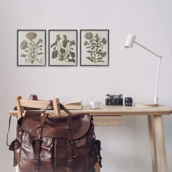 Stupell Industries Vintage Country Botanicals 3pc Framed Giclee Wall Art Set Design by Lil' Rue {2}