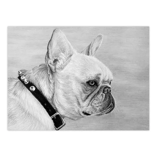 SKBNL12 | Sketching Made Easy&trade; 10pc 11.25" x 15.375" French Bulldog Sketching Art Project {2}