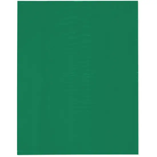 Plymor 12" x 15", Green 2 Mil Flat Open Plastic Poly Bags {1}