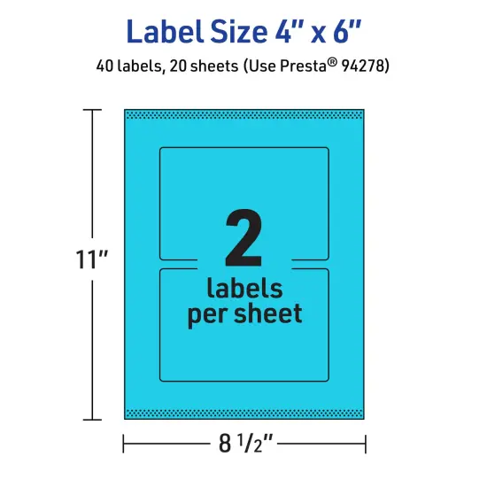 Avery Bright Blue Paper Labels, 4" x 6" Rectangle {5}
