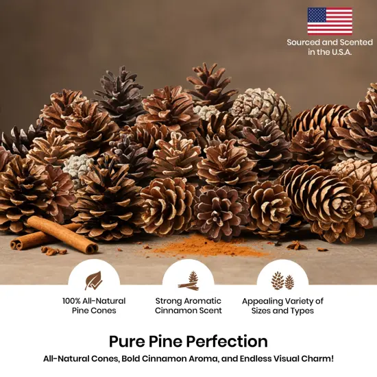 Cinnamon Scented Pinecones Variety 1 lb for Decorating, Over 40 Small Cinnamon Pine Cones for Crafts and Vase Filler Cinnamon Fragrance Pine Cones {4}