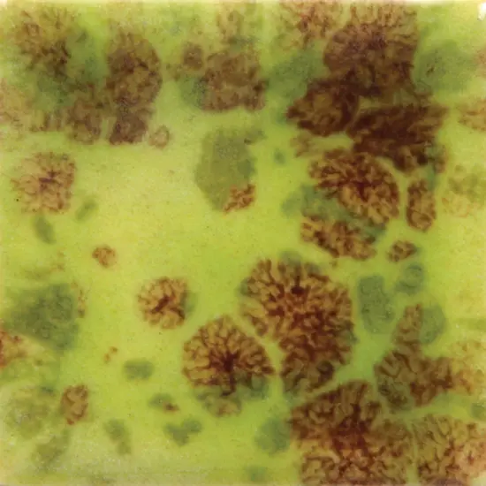 Sax Colorburst Glaze, Pistachio, 1 Pint {1}