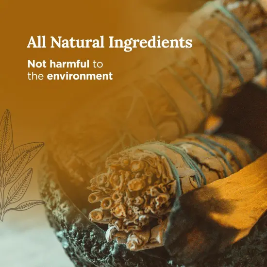 Magnificent 101 Long Lasting Affirmation Tin Candle with Sage, Cedar & Palo Santo Scented | 6 Oz - 35 Hour Burn | Made of Soy Wax for House Energy Cleansing, Meditation | I Align with Abundance Multicolor {3}