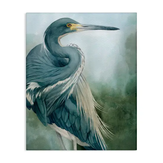 Stupell Industries Bayou King Bird Canvas, design by Grace Popp {1}