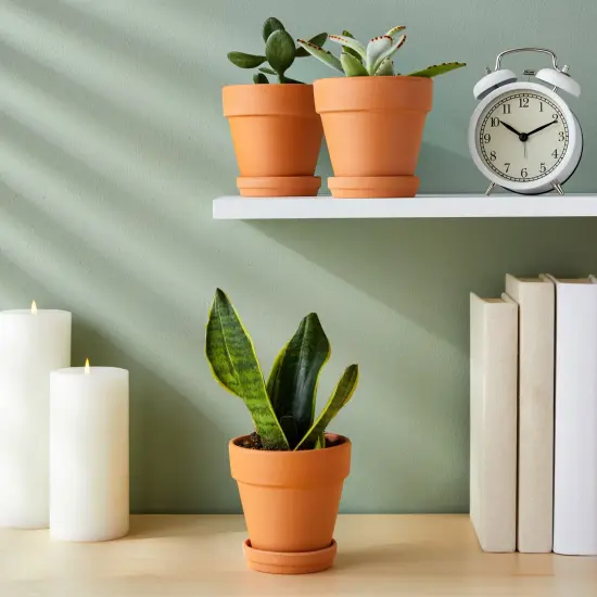 Juvale 4-inch 6 Pack Small Terracotta Pots with Saucer and Drainage Hole - Clay Planter for Indoor and Outdoor Succulents, Flowers and Plants {3}