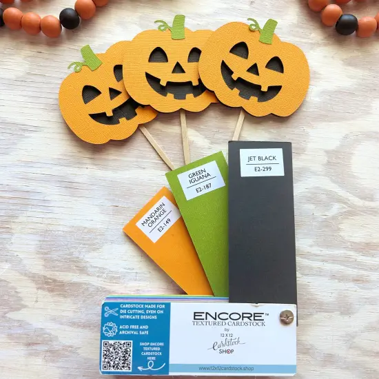 JET BLACK - Textured 12x12 Cardstock - Encore Paper {5}