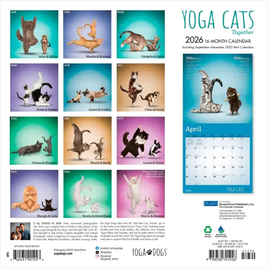 Yoga Cats Together OFFICIAL | 2026 12 x 24 Inch (Hanging) Monthly Square Wall Calendar {2}
