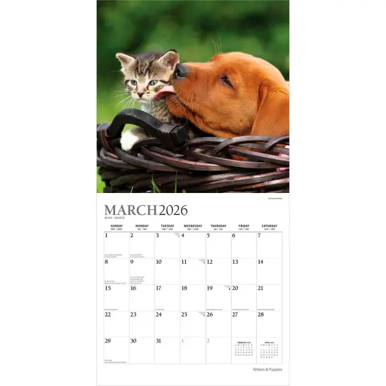 Kittens & Puppies | 2026 12 x 24 Inch (Hanging) Monthly Square Wall Calendar | Foil Stamped Cover {3}