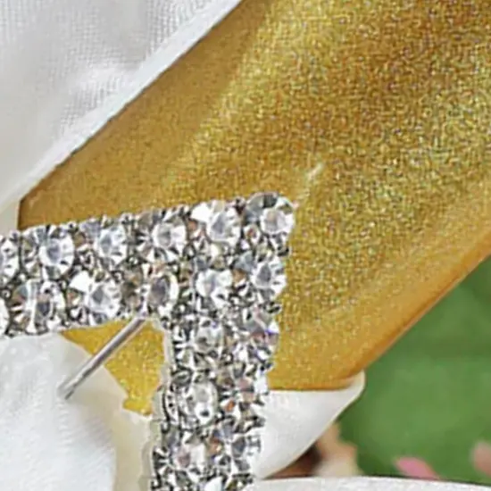 Diamond Rhinestone Chair Band Buckle Silver Metal Accent 2 Inch Width {4}