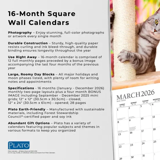 I Love Cats | 2026 12 x 24 Inch (Hanging) Monthly Square Wall Calendar | Foil Stamped Cover {6}