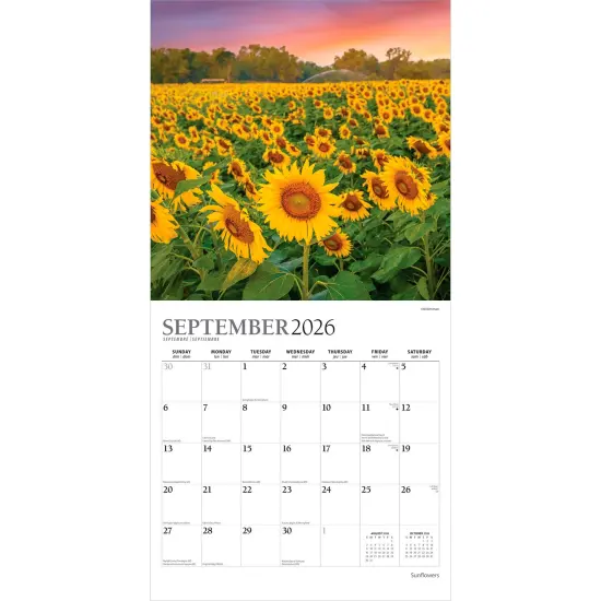 Sunflowers | 2026 12 x 24 Inch (Hanging) Monthly Square Wall Calendar | Foil Stamped Cover {4}