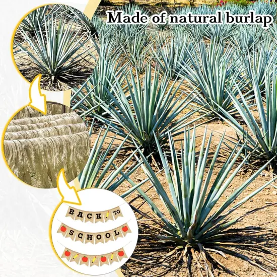 3Pcs 100 Days of School Banner Back To School {2}