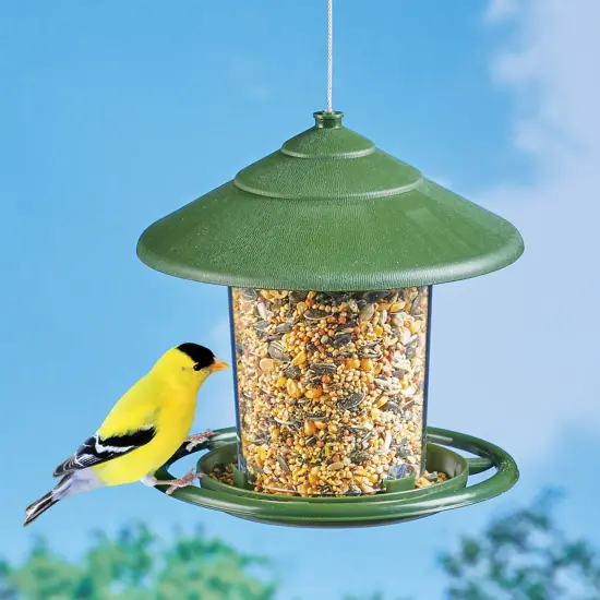 Collections Etc Easy Fill Hanging Birdfeeder with Drainage Holes {1}