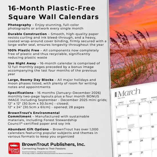 America | 2026 12 x 24 Inch (Hanging) Monthly Square Wall Calendar | Foil Stamped Cover | Plastic-Free {6}