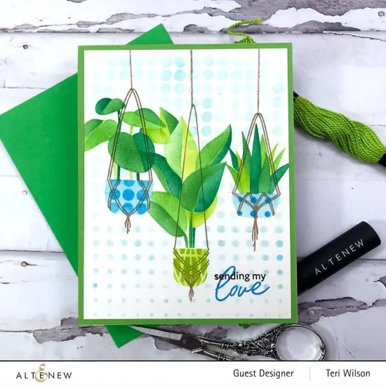 Dynamic Duo: Hanging Houseplants {2}