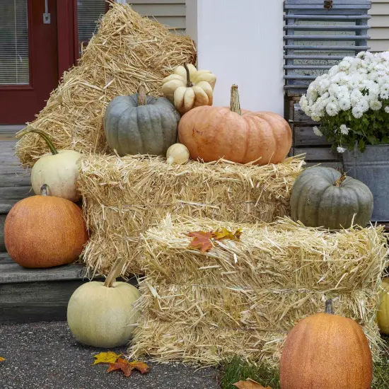 FloraCraft Decorative Natural Straw Bale-9.5"X12"X24" {5}