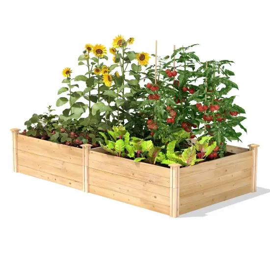 Natural Pine Wood 4x8 Raised Garden Bed with Dovetail Joints {2}