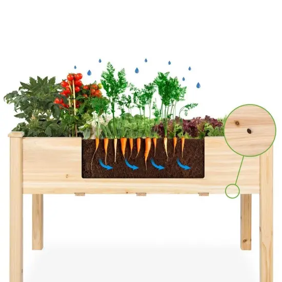 Elevated Garden Bed for Easy Gardening with Drainage Hole {3}