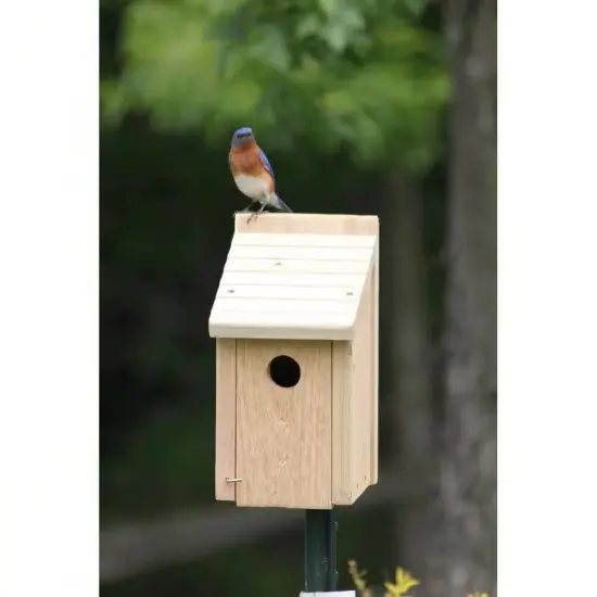 Brown Cedar Wood Bluebird House with Easy Clean Front Panel and Ventilation {2}