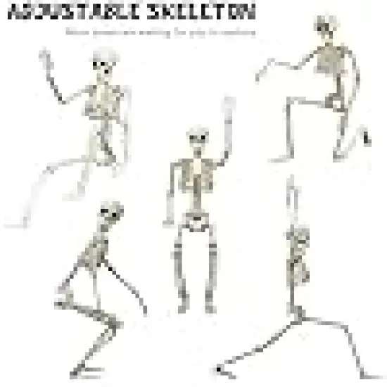 Full Body Skeleton with Movable Posable Joints, {4}