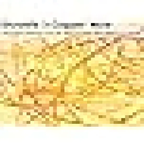 Fairy String Lights Dimmable with Remote {2}