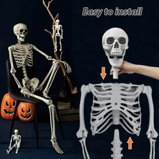 Life Size Halloween Skeleton Decor - 5.4Ft/165cm {3}