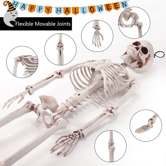 36" Halloween Posable Skeleton Decorations {3}