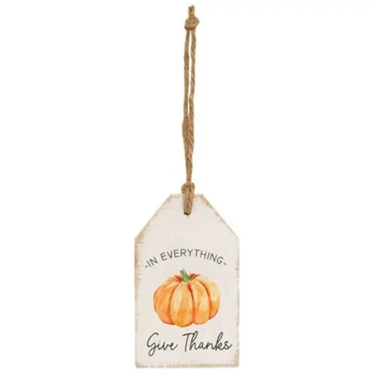 Rustic Autumn Wooden Tags with Pumpkin Graphics and Gratitude Quotes Jute Rope Hanging Tags 2 Asstd. {3}