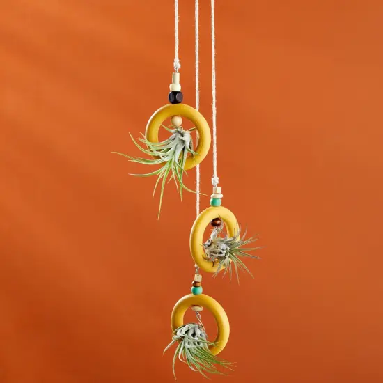 20 Pack Unfinished Natural Wood Rings for Crafts, Macrame Projects, Jewelry Making, DIY Pendant Connectors (2.1 In) Brown {5}