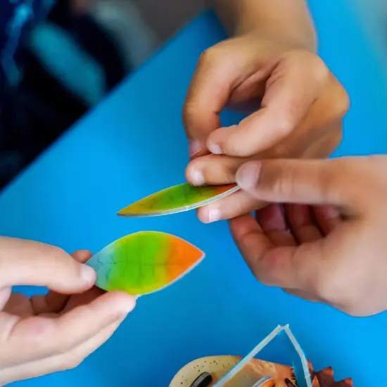 HABA Color Matching Memory Game for 3 Year Olds & Up - Hedgehog Haberdash - Children's Board Game for Family Night and Preschool Learning Multicolor {6}