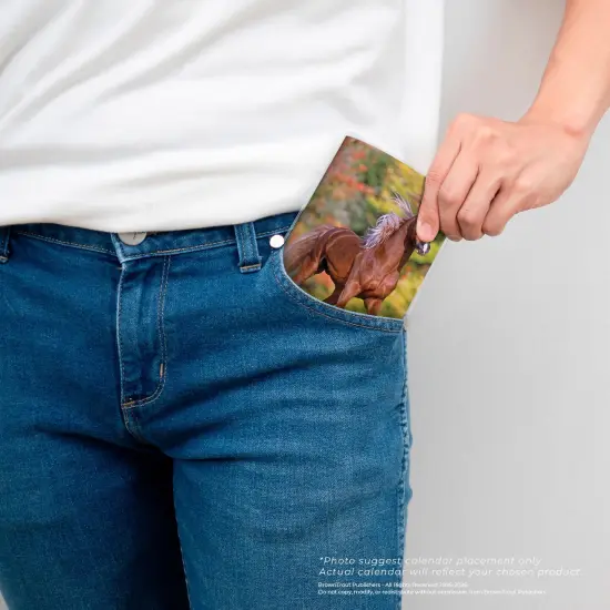 Horse Lovers | 2026-2027 3.5 x 6.5 Inch Two Year Monthly Pocket Planner Calendar {5}