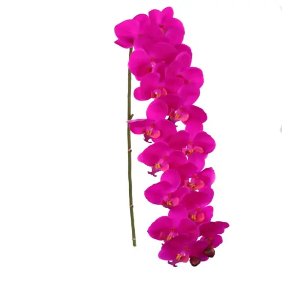 2pcs Fuchsia 49" Phalaenopsis Orchid Stem - 2025 Spring Collection {1}