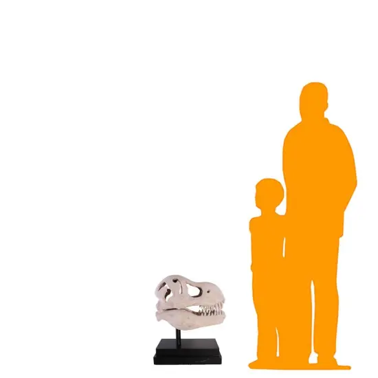 T-Rex Dinosaur Skull Life Size Statue {2}