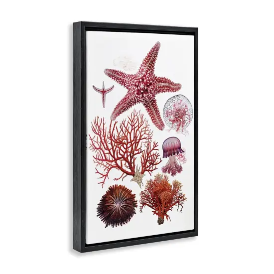 Stupell Industries Rosy Undersea Creatures Floating Frame Design by Ramona Murdock {3}
