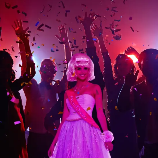 Prom Queen Adult Costume {3}