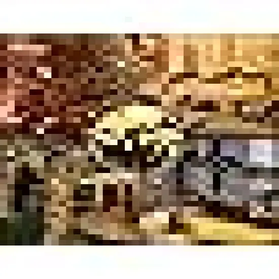 End-to-End Plug 8 Modes Indoor Lights {4}