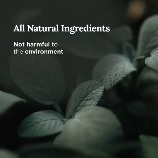 Magnificent 101 Long Lasting Pure White Sage Smoke Smudge Candle | 6 Oz - 35 Hour Burn | Made of Soy Wax for House Energy Cleansing Purification, Chakra Healing & Manifestation Multicolor {3}