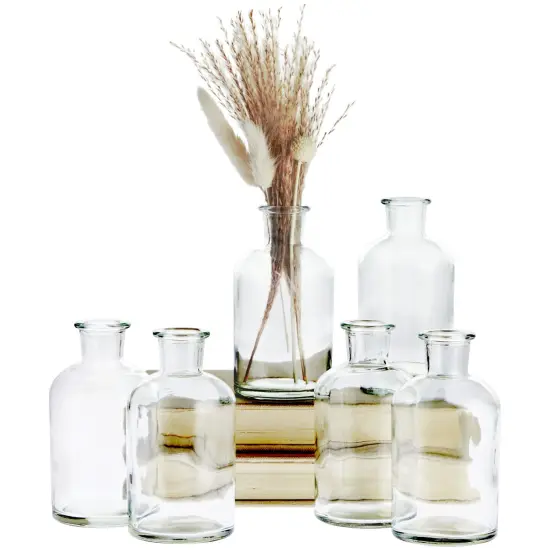 Small Clear Vases for Centerpieces, Glass Propagation Jars for Stems, Flower Buds, Apothecary Style Home D&eacute;cor (2.8x5 In), 6-Pack {1}