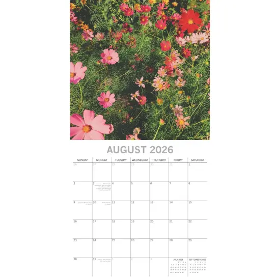 The Gifted Stationary 2026 Square Wall Calendar, Wild Flowers, 16-Month Floral Theme Hanging Calendar with 180 Reminder Stickers, Month Planner for Home and Creative Spaces, 12x12 In Multicolor {3}