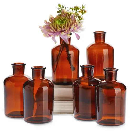 Small Amber Vases for Centerpieces, Brown Glass Vase Bottles for Stems, Flower Buds, Apothecary Style Home Decor (2.8x5 in), 6-Pack {1}