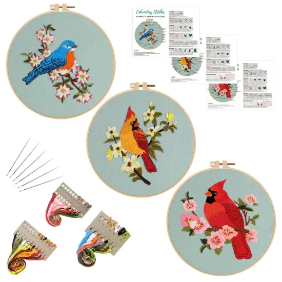 3 Sets Bird Embroidery Kits for Beginners,Adults Starter Flower Pattern Cross Stitch Kit DIY Needlepoint Kits with Embroidery Instructions {1}