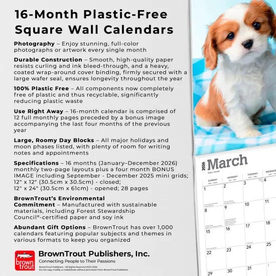 Cavalier King Charles Spaniel Puppies | 2026 12 x 24 Inch (Hanging) Monthly Square Wall Calendar | Plastic-Free {6}
