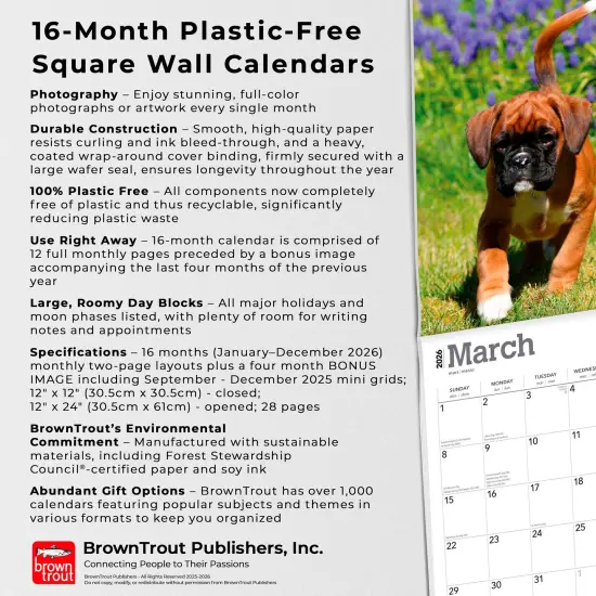 Boxer Puppies | 2026 12 x 24 Inch (Hanging) Monthly Square Wall Calendar | Plastic-Free {6}