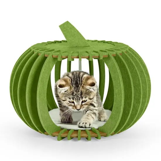 Portable & Collapsible Bed for Cats Dogs, Ideal Gift for Cat Dogs Lovers & Halloween Decor Green {1}