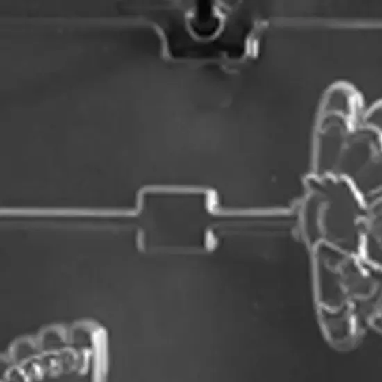 Funny Turkey Sayings Lolly Chocolate Mold {5}